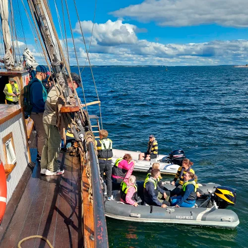 31.5.2026 Isosaari - Image 2