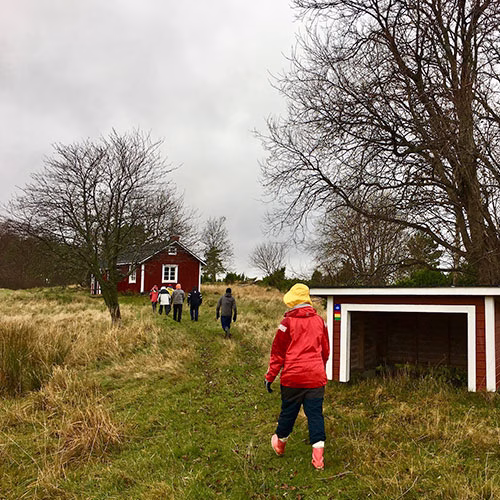 13.-16.11.2026 Arktinen purjehdus - Image 7